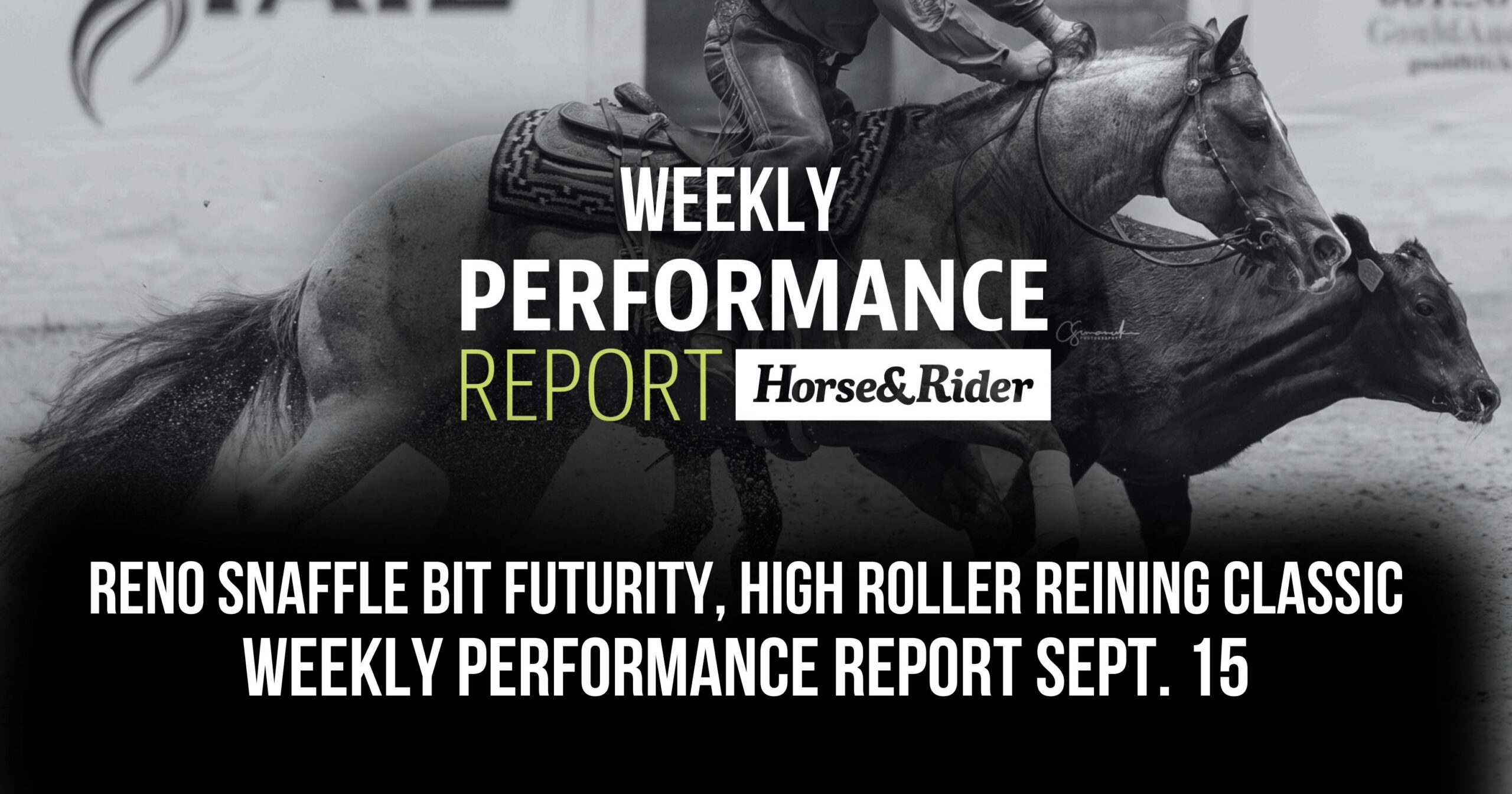 Reno Snaffle Bit High Roller Reining_Weekly Performance Report