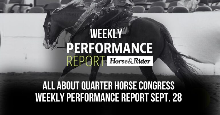 Weekly Performance Report_Congress