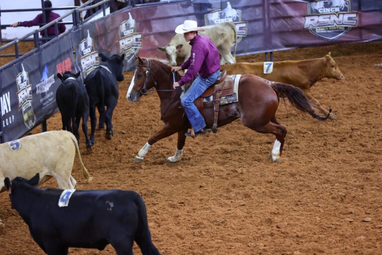 Logan Wolfe sorts cattle on a chestnut horse at the 2026 Cinch RSNC World Finals in Fort Worth