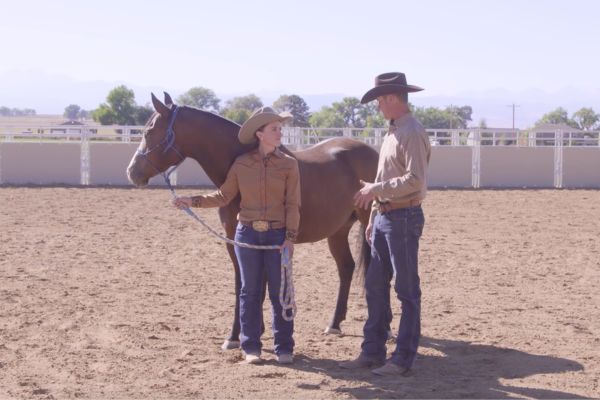 A handler holds the lead rope of an unsaddled horse wearing a halter while Cody Crow stands beside them in a fenced arena.