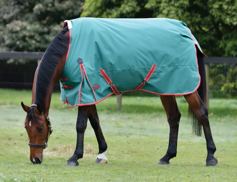 WeatherBeeta ComFiTec Prelim Standard Neck Medium Turnout Blanket