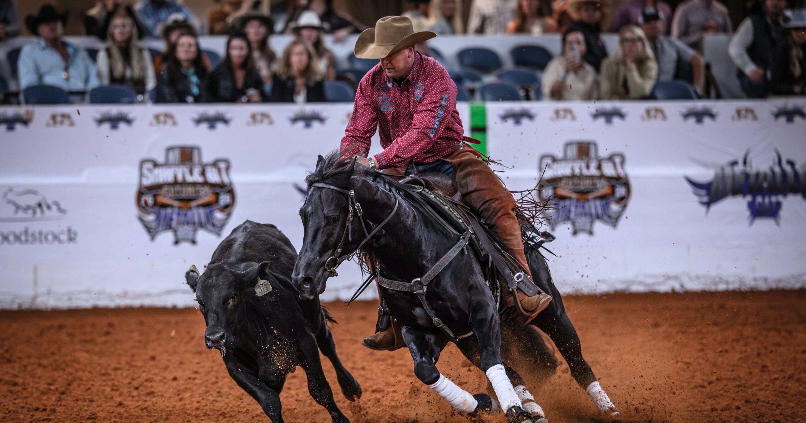 Corey Cushing_2026_NRCHA Snaffle Bit Futurity_Candy Shopp_PR File