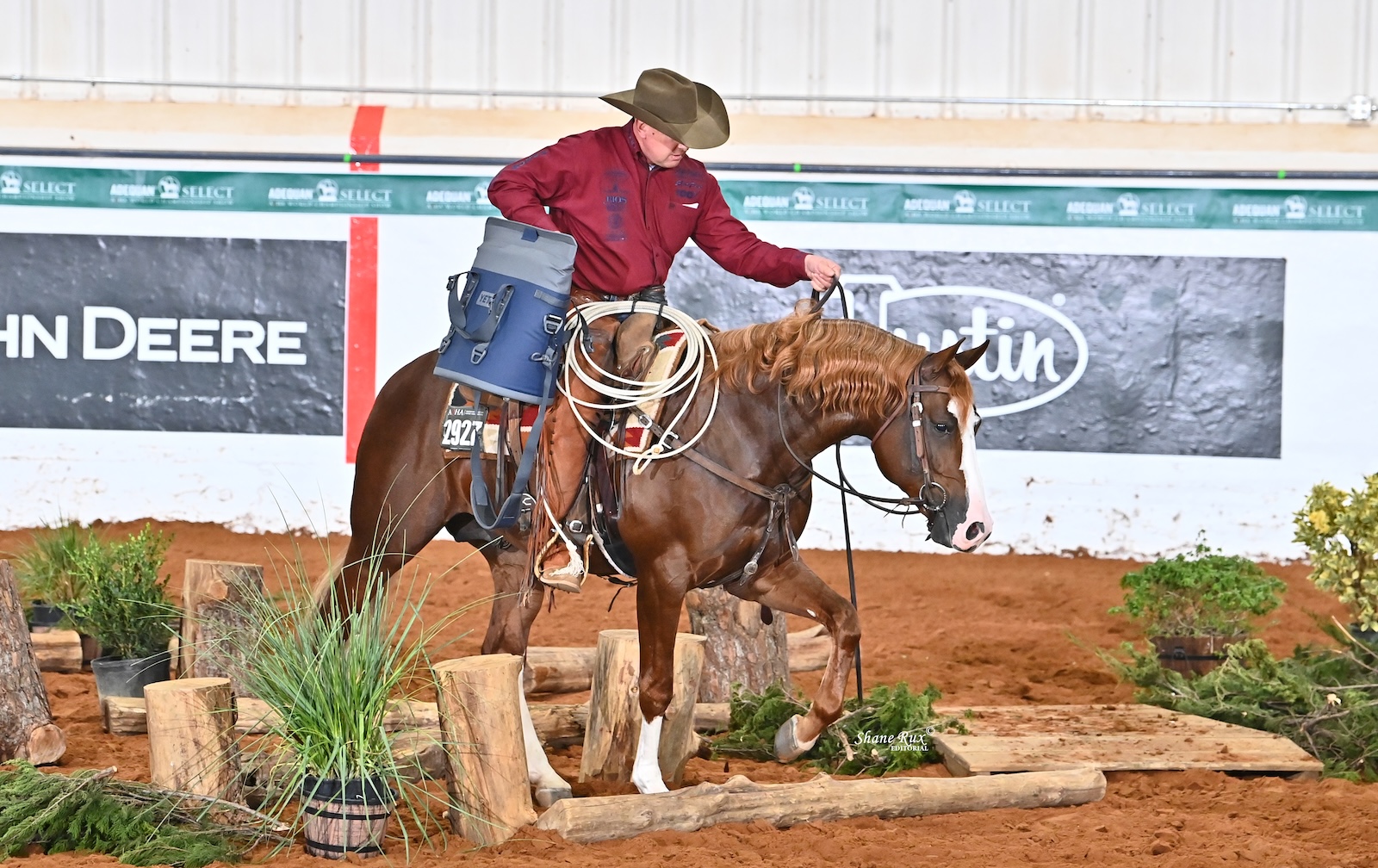 Obeworld Ranch Classes to Watch at the 2026 AQHA World Show
