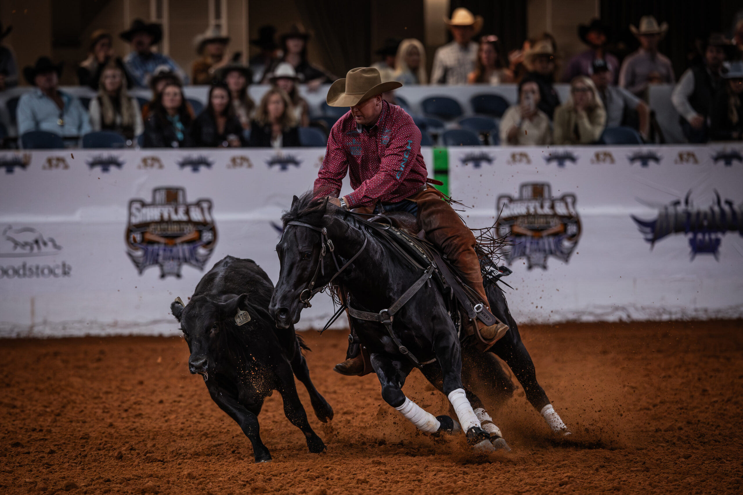 Draw 22 - Candy Shopp - Corey Cushing - Fence 220