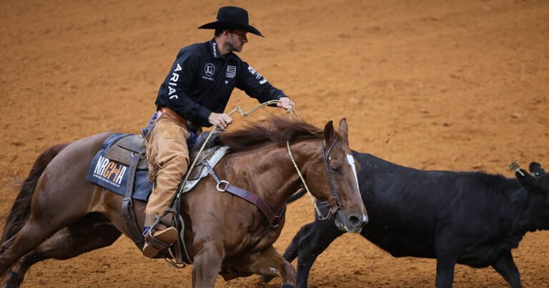 Josh McElroy_War Horses for Veterans_2026_NRCHA_Snaffle Bit Futurity_PR File