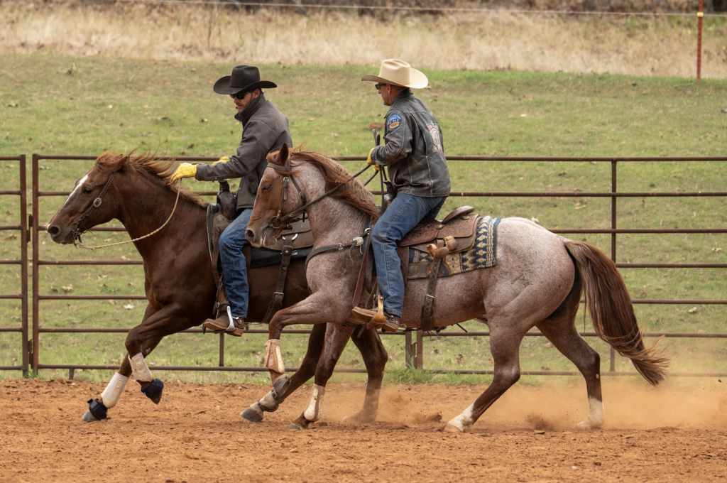 Josh McElroy learned from several NRCHA Professionals including Russell Dilday