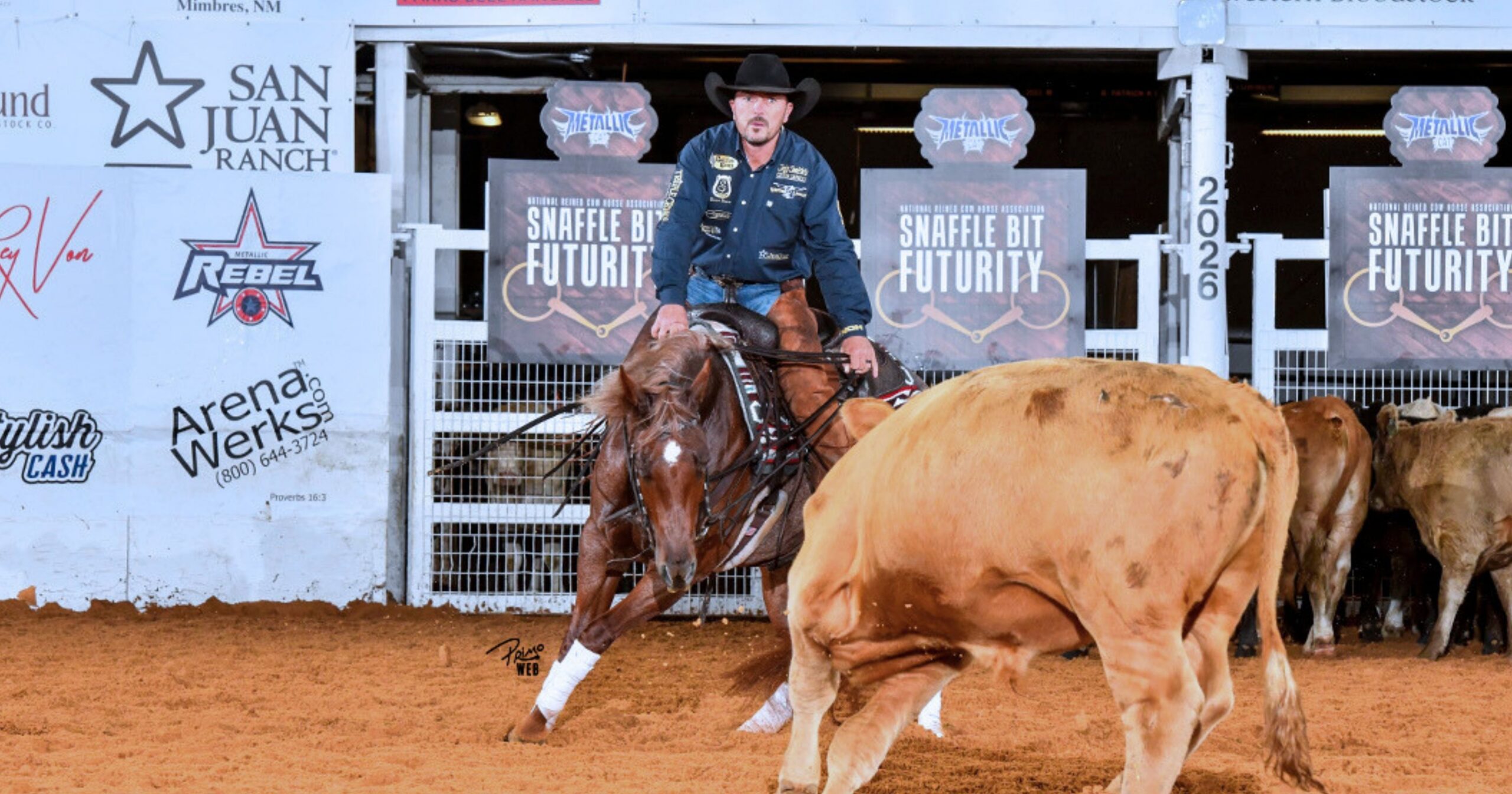 Justin Wright_Tamia_2026_NRCHA Snaffle Bit_Open Herd Prelims_Primo (1)