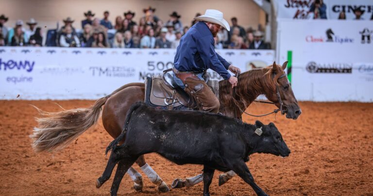 Lanham Brown_2026_NRCHA_Snaffle Bit Futurity_Rebel De Rosa_PR File