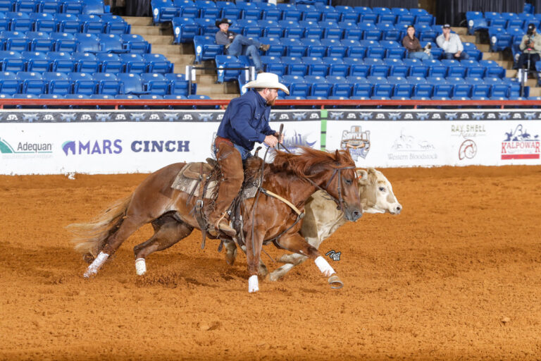 Lanham Brown_Rebel De Rosa_2026 NRCHA Snaffle Bit_Primo