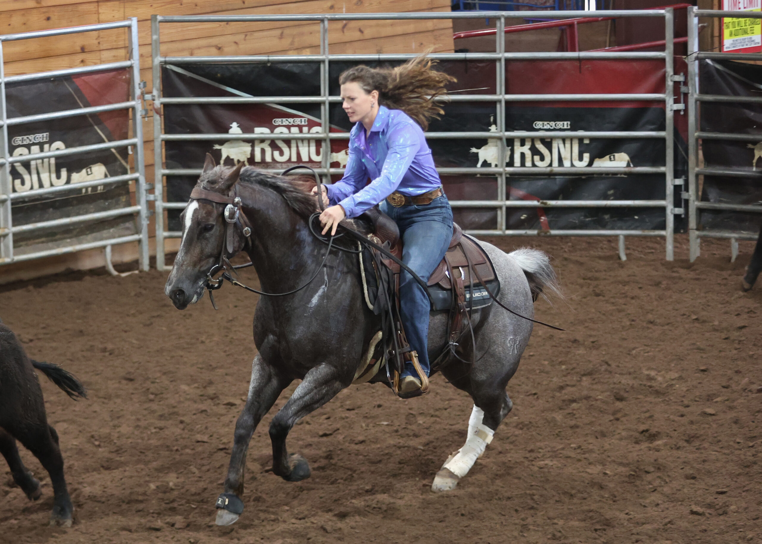 A woman riding a roan horse chases a black cow during a Cinch RSNC ranch sorting run.