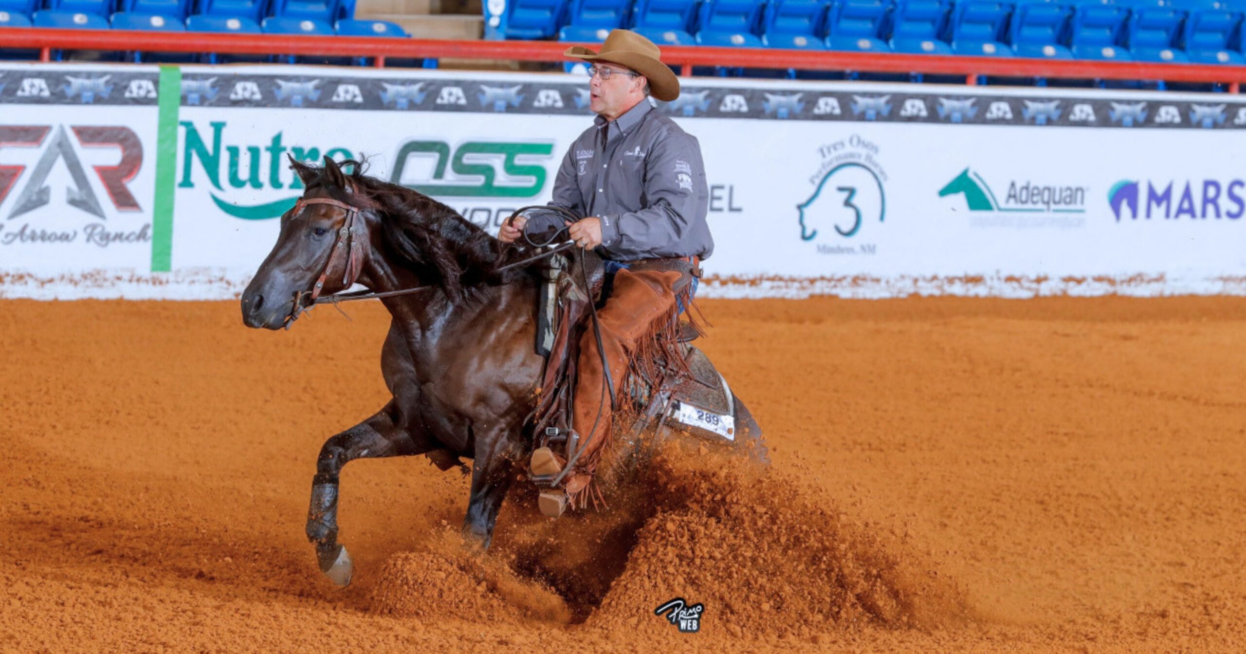 Todd Bergen_2026_NRCHA Snaffle Bit_little trashy_primo (1)
