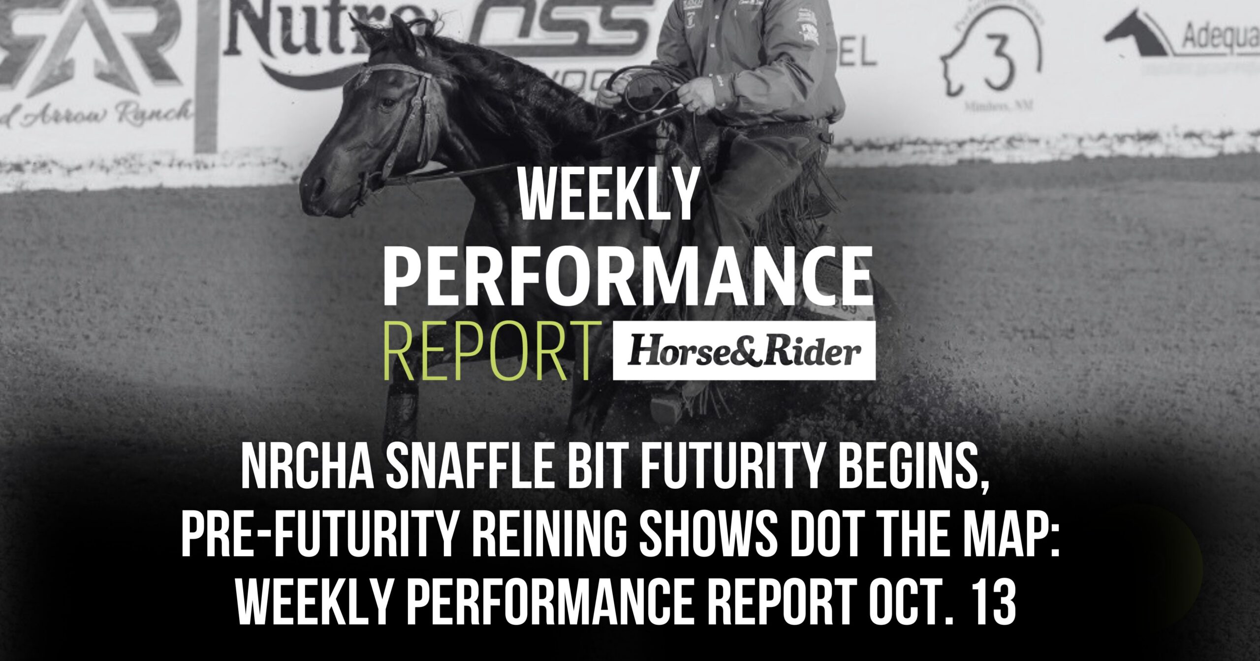 Weekly performance report 1013