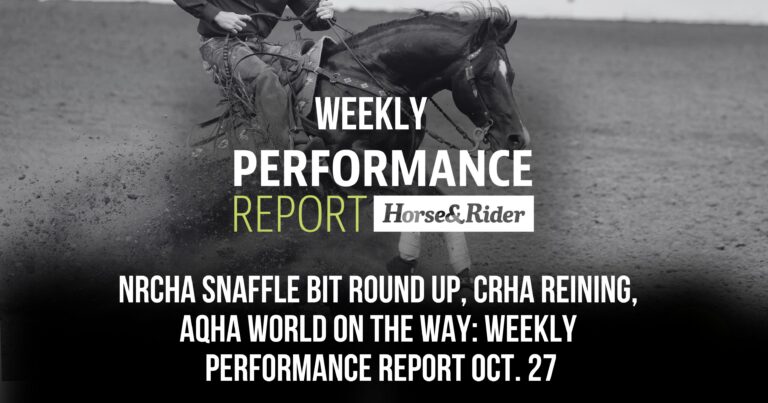 Weekly performance report 1027