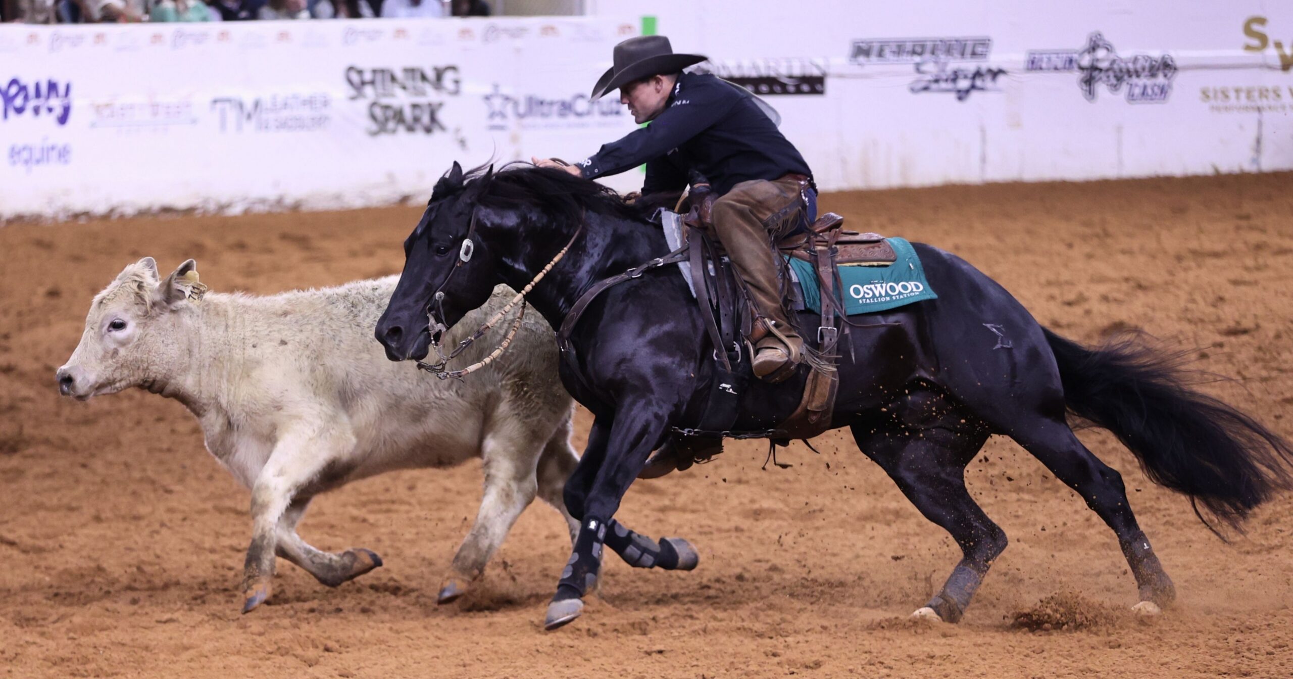 Zak 34_2026_NRCHA Worlds greatest_chris dawson_PR File