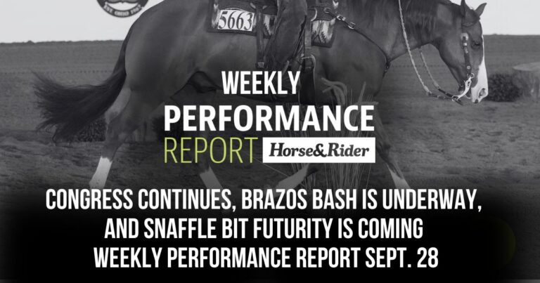 congress_snaffle bit futurity_brazos bash_weekly performance report1