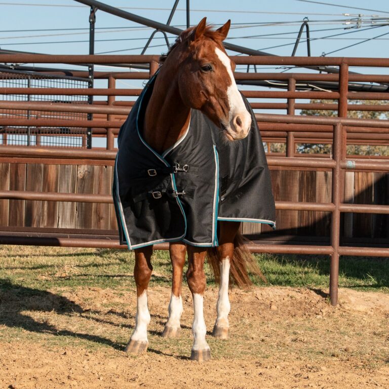 Cashel Lightweight Turnout Winter Blanket, 100g