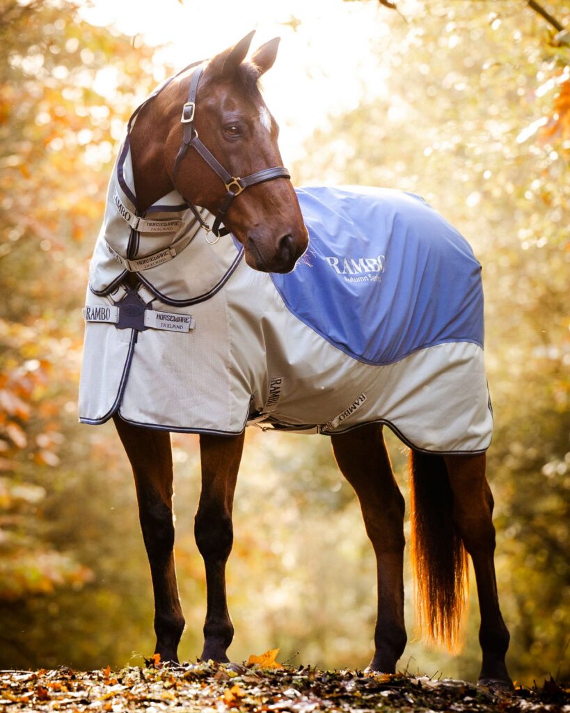 Horseware Ireland Rambo Autumn Series Technical Turnout