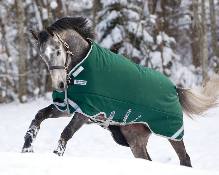 Horseware Ireland Rambo Original 400g Heavyweight Turnout with Leg Arches