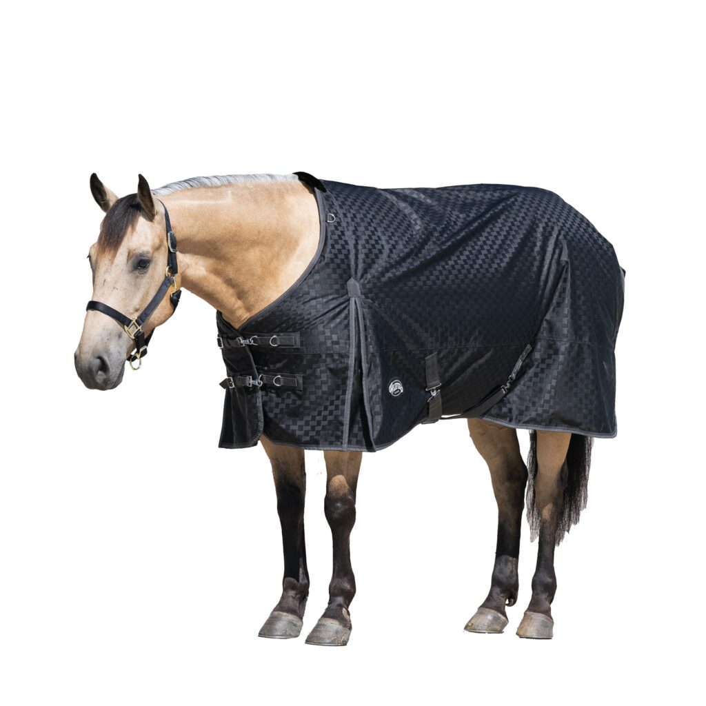 Weaver Premium Turnout Blanket, heavy weight 1200D