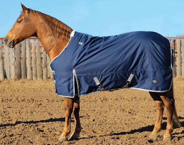 Reflective 600D No Hardware Breathable Waterproof Nylon Foal Winter Blanket 