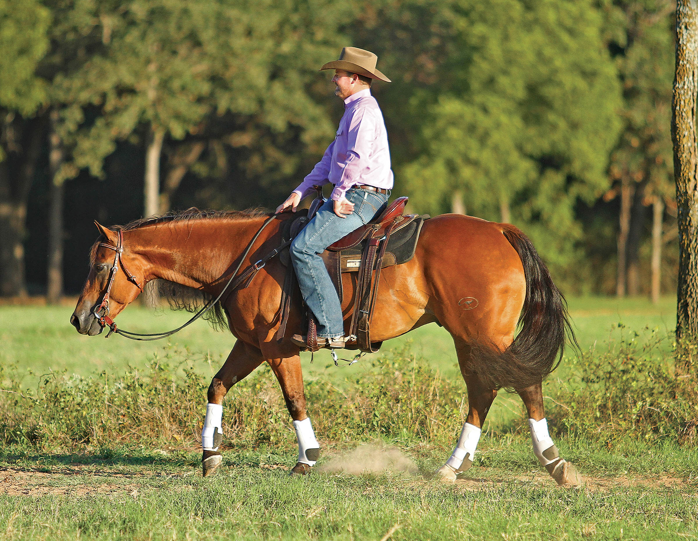 horse trips behind