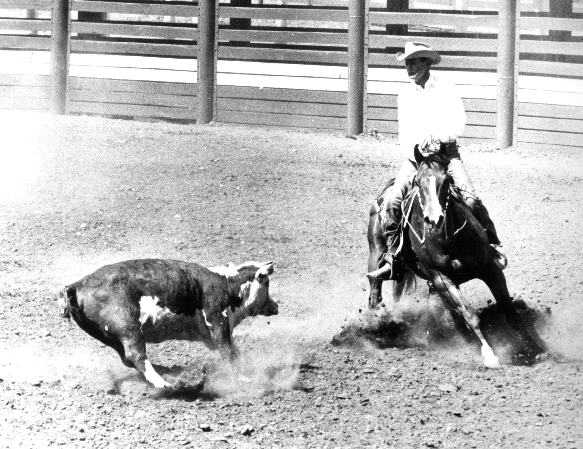 Buster Welch - AQHA