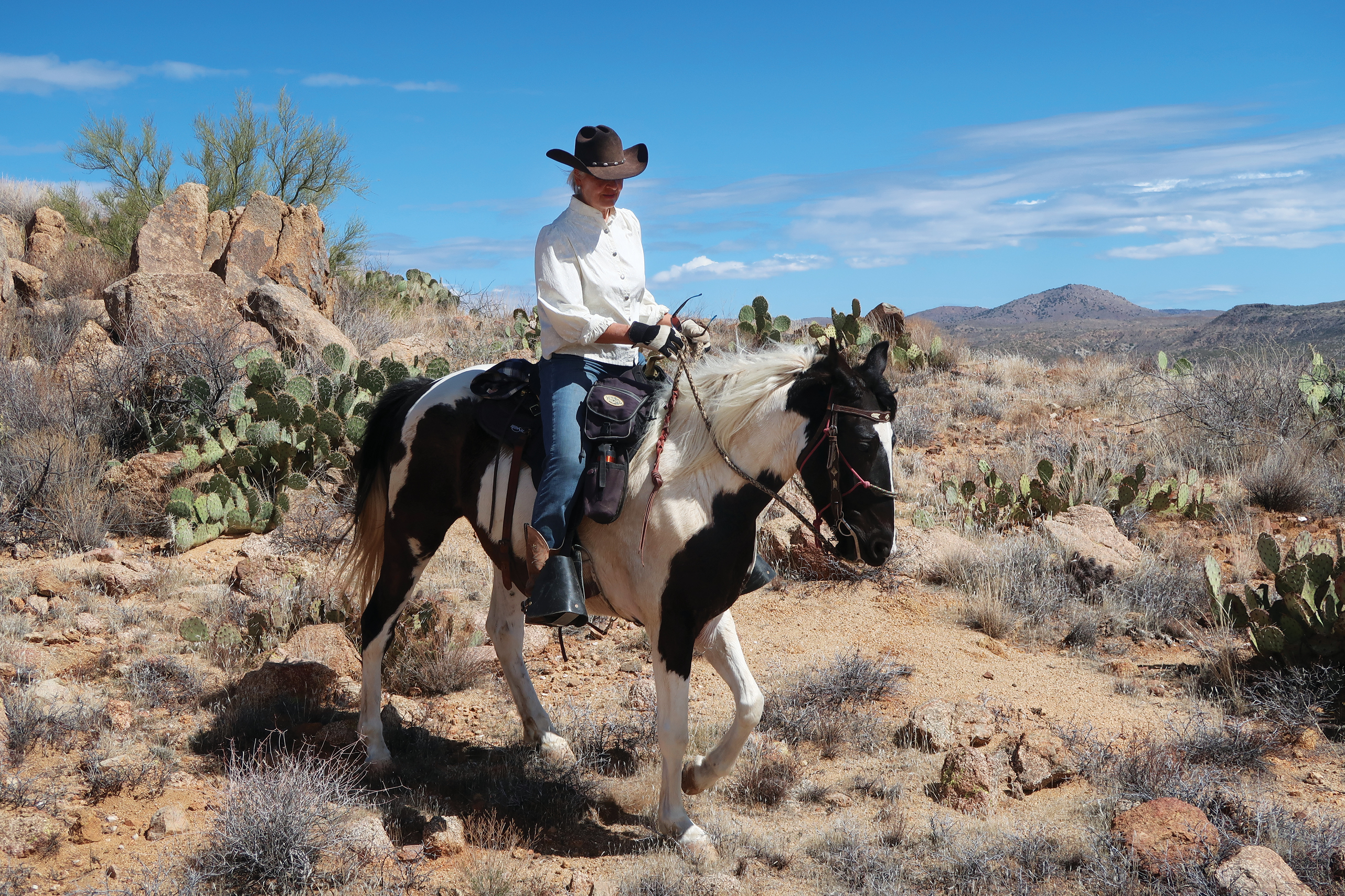 Horse Trough - Sierra Rental Company