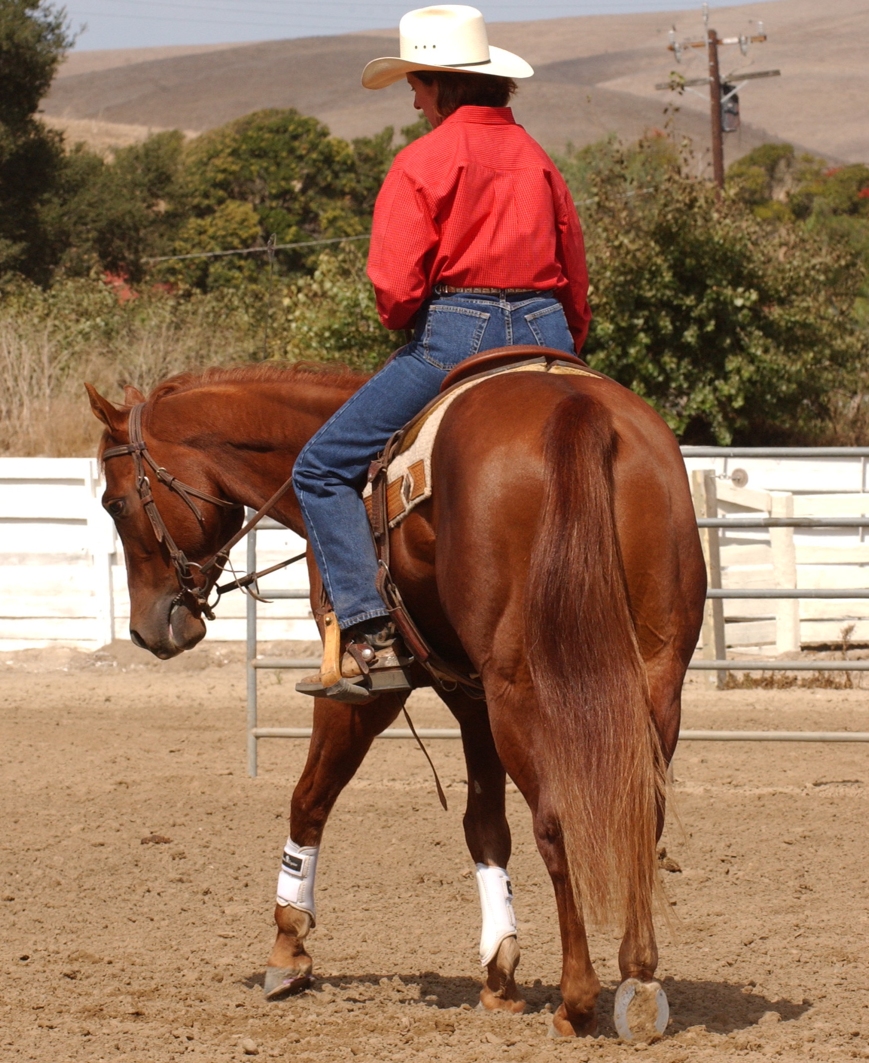 4 Horsemanship Myths—Busted!