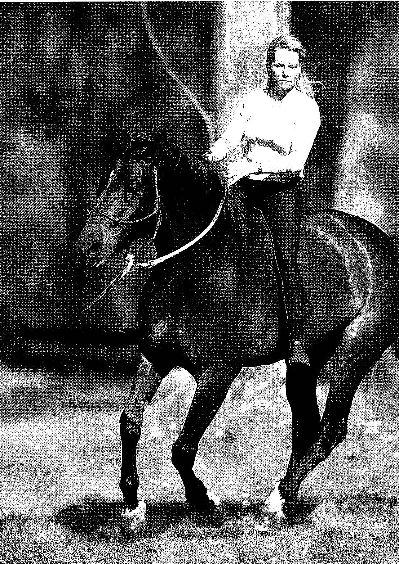 HORSEMAN'S BLACK HALTER & ROPE SET ~ PARELLI ~ WESTERN ~ NATURAL HORSEMANSHIP 