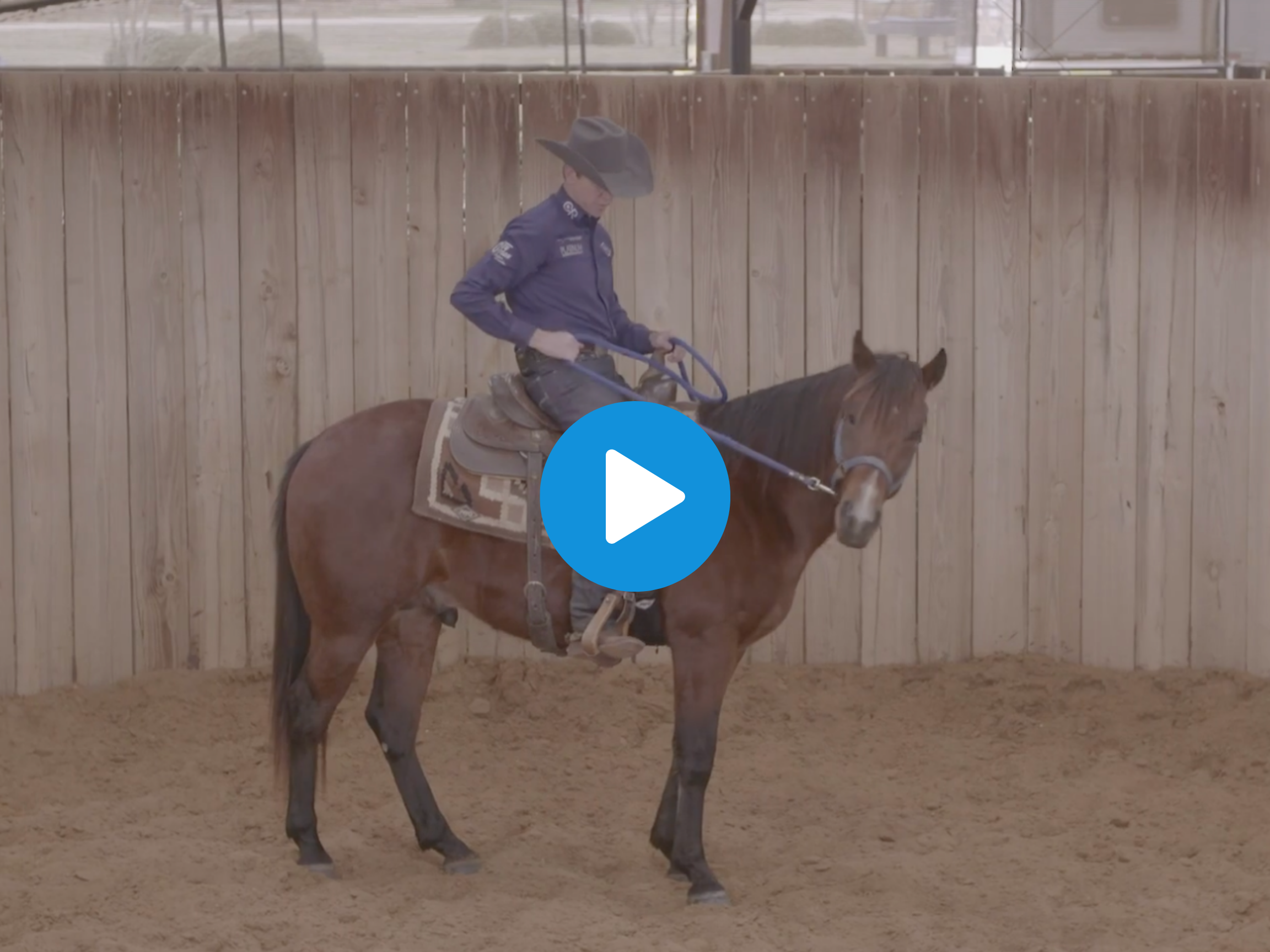 Colt Starting: Following His Nose