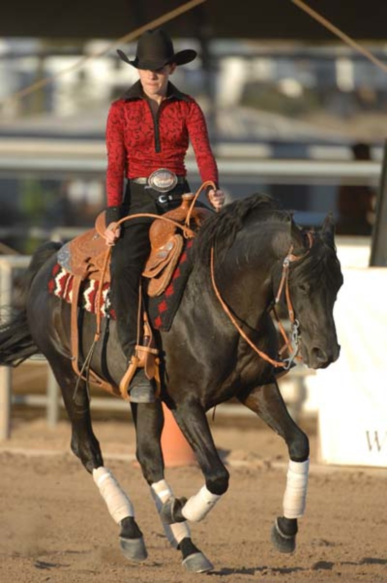 Thanks to Caryn! Scottsdale Arabian Show...