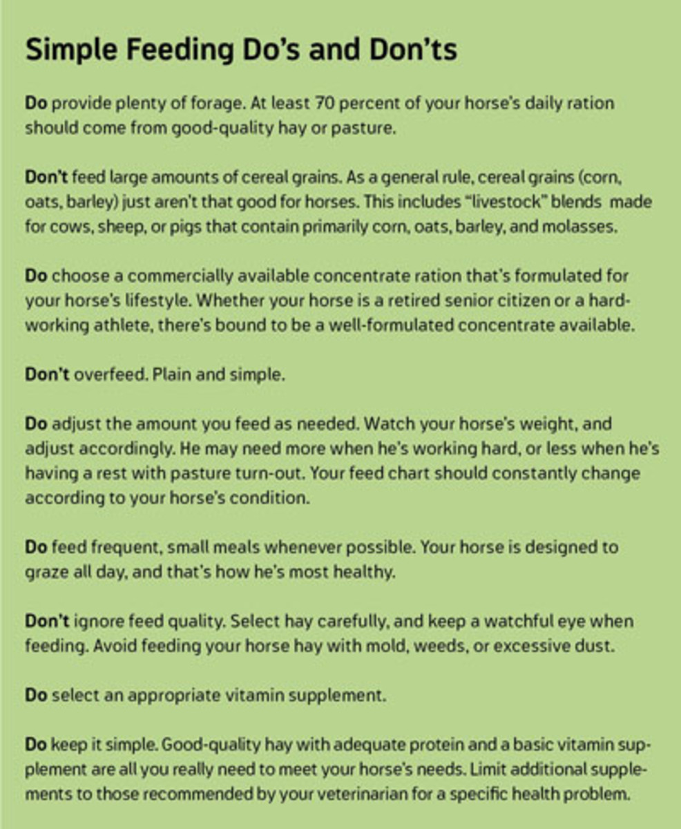 Avoid Feeding These Diets To Your Horse