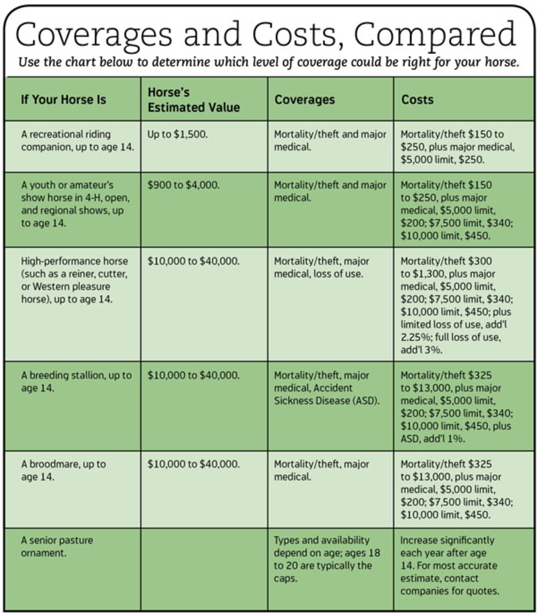 Equine Insurance Explained