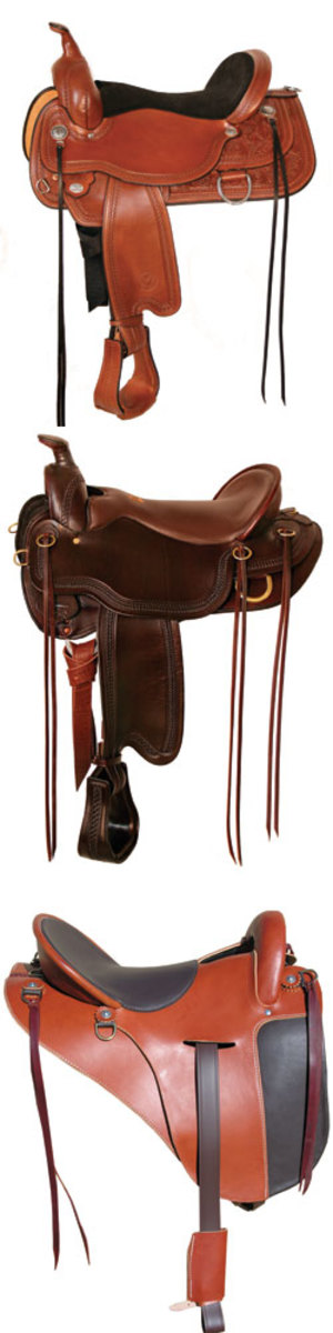 Saddle Length ~ Is my Saddle Too Long? ~ Synergist Saddles