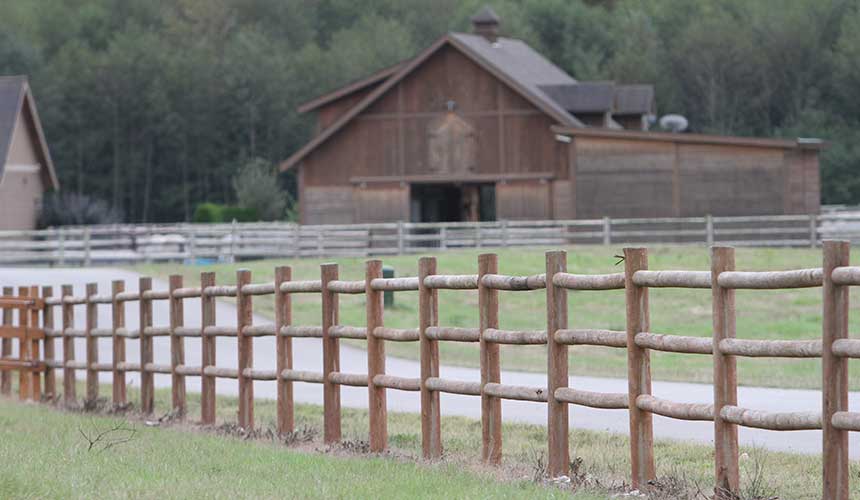 Best Wood for Horse Fence 