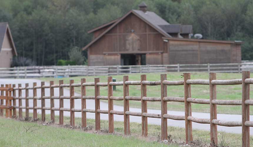 Best Wood for Horse Fence