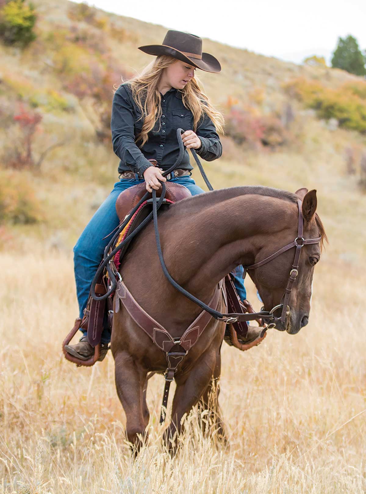 Ranch Horse to Trail Horse